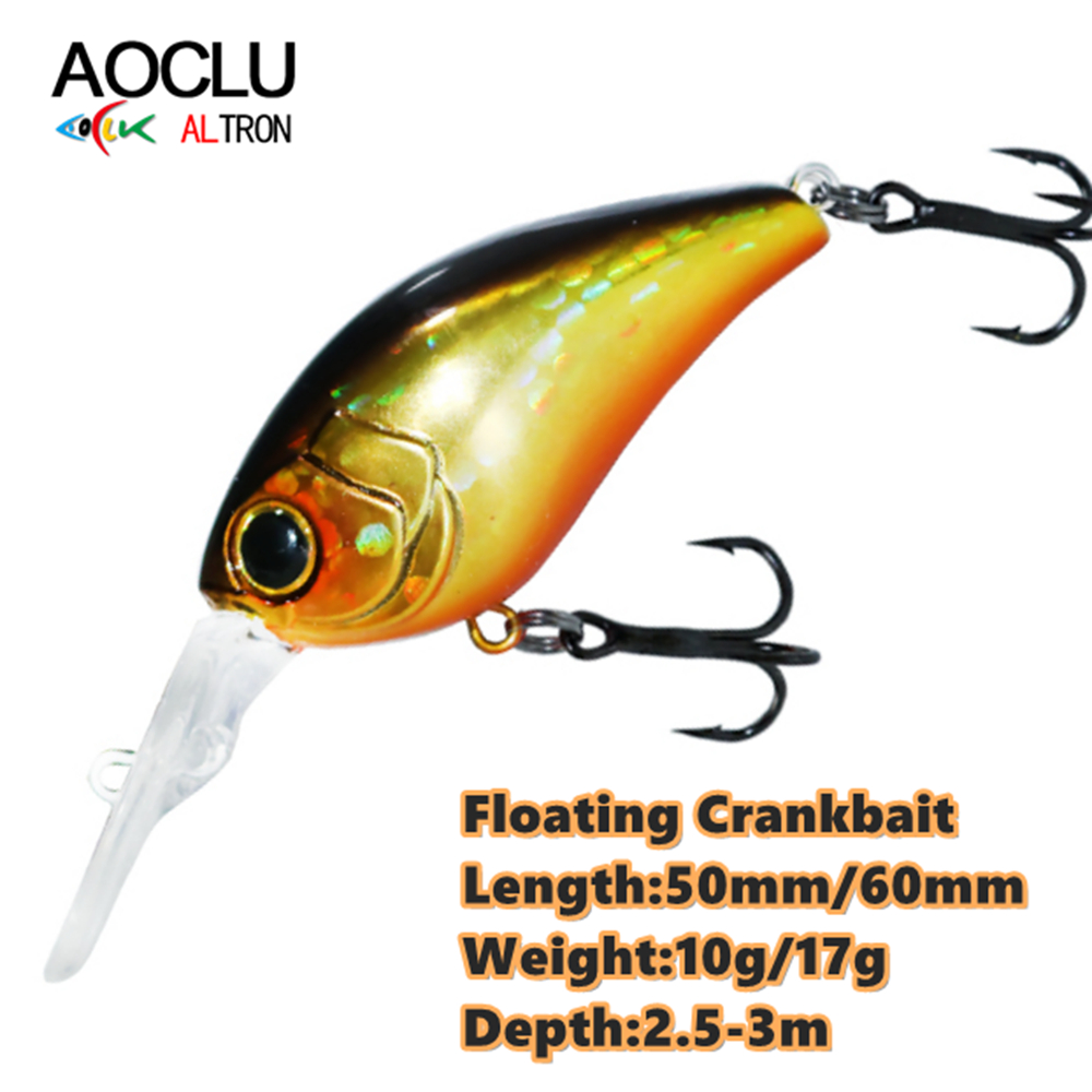 AOCLU Floating Minnow 50mm 10g - Fishing Lure Crankbait avis et prix