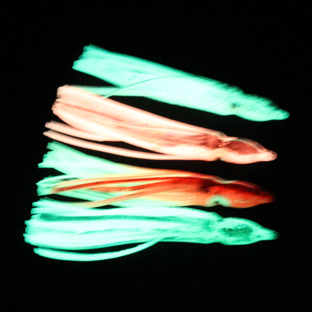 10 pcs soft light octopus squi - Fishing Lure Buzzbait avis et prix