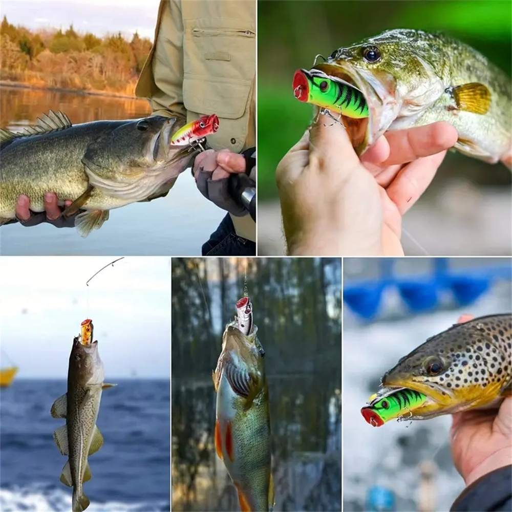 5Pcs Popper Fishing Lures 3d E - Fishing Lure Popper avis et prix