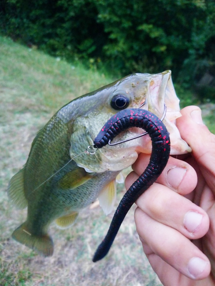 Esfishing Silicone Soft Bait T - Fishing Lure Soft Plastic avis et prix